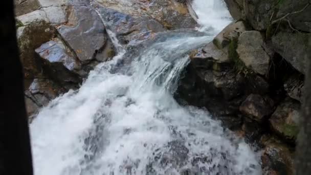 Cachoeira Córrego Florestal Nacional Rochas Franconia Entalhe — Vídeo de Stock