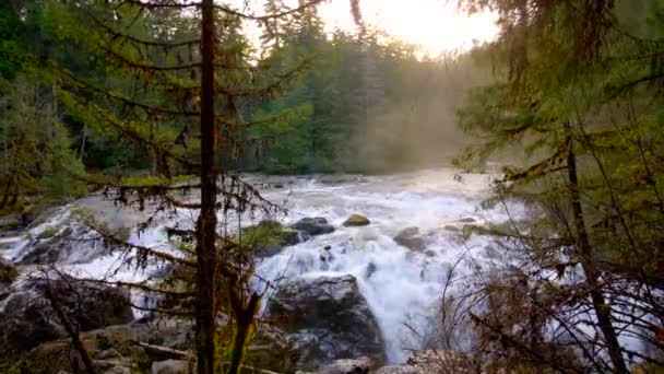 Vattenfall Skogen Vancouver Med Antenn Drönare — Stockvideo