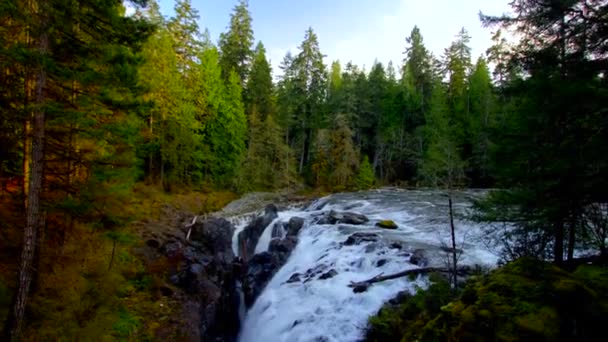 Vattenfall Skogen Vancouver Med Antenn Drönare — Stockvideo