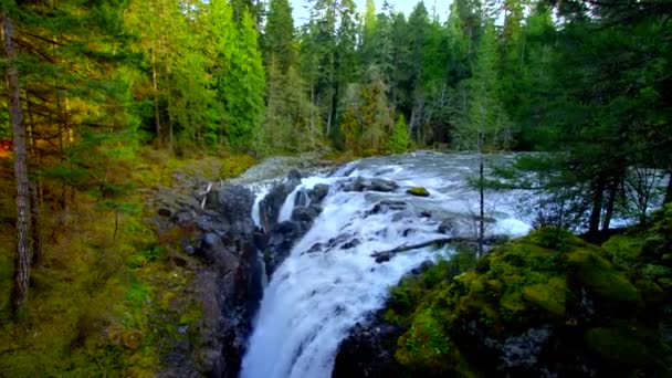 Cascata Nella Foresta Dell Isola Vancouver Con Drone Aereo — Video Stock