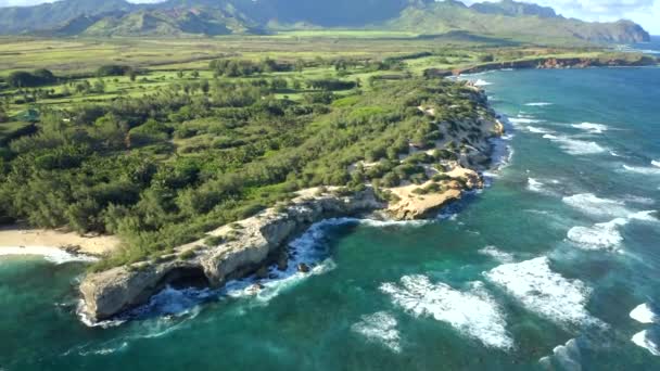 Beautiful Shipwreck Beach Kauai Coast Aerial Drone — Stock Video