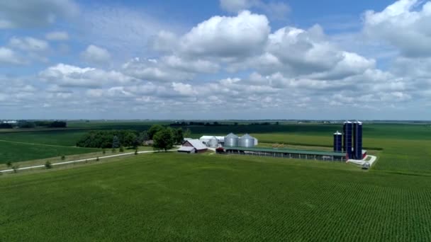 Çiftlik Arazisinin Insansız Hava Aracı Görüntüsü — Stok video