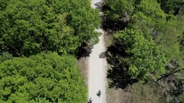 Drone Shot Bikers Riding Trail Forest Close — Stock Video