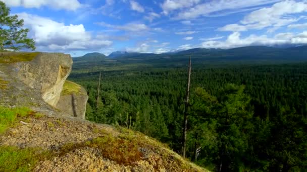 Vancouver Island Cliff Forest Tracking Shot — стокове відео