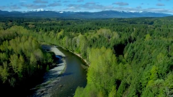 Vancouver Eiland Bos Rivier Door Antenne Drone — Stockvideo