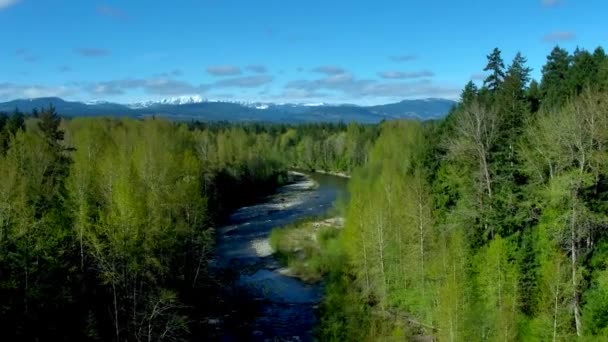 Bosque Isleño Vancouver Por Dron Aéreo — Vídeo de stock
