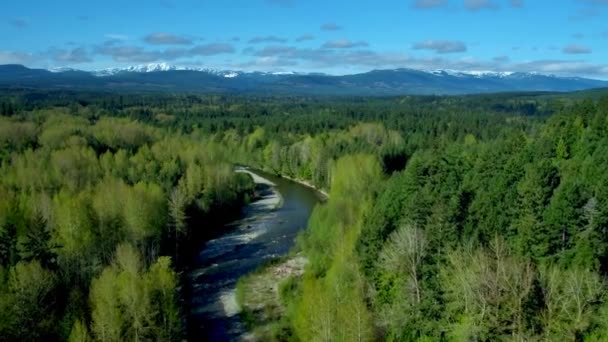 Vancouver Eiland Bos Door Antenne Drone — Stockvideo