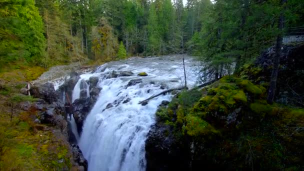 Wodospad Lesie Wyspy Vancouver Dronem Powietrznym Wideo Stockowe