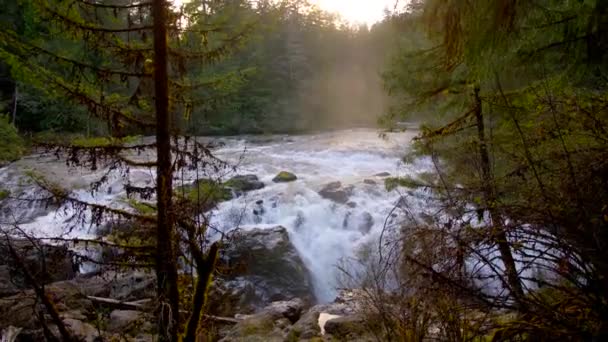 Waterval Het Bos Van Vancouver Eiland Door Drone Vanuit Lucht — Stockvideo