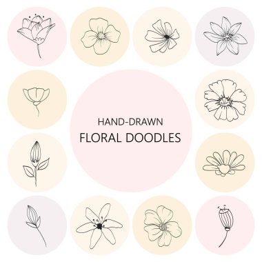 Çiçeksel grafik elementler ayarlandı. Çiçekler ve bitkiler elle çizilmiş resimler. Klasik botanik çizimler.