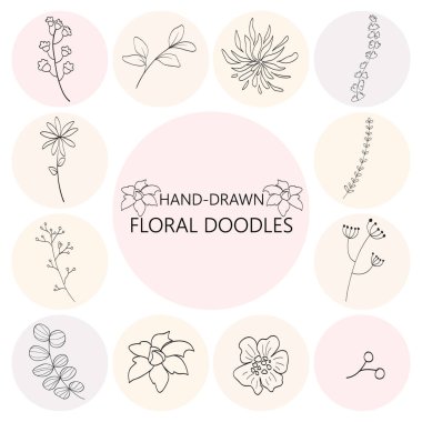 Çiçeksel grafik elementler ayarlandı. Çiçekler ve bitkiler elle çizilmiş resimler. Klasik botanik çizimler.