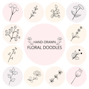 Çiçeksel grafik elementler ayarlandı. Çiçekler ve bitkiler elle çizilmiş resimler. Klasik botanik çizimler.