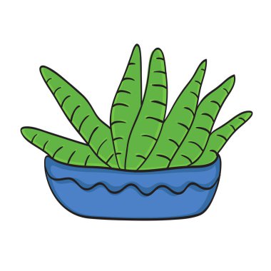 Şirin bitki vektörü, küçük saksı sulu bitki ya da kaktüs. Esrara el çizimi bitki çizimi.