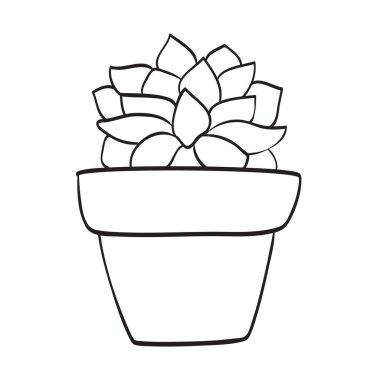 Tencere dibin kara, seninki benden kara. Esrara el çizimi bitki çizimi. Boyama kitabı için siyah ve beyaz vektör çizimi. 