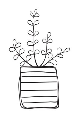 Tencere dibin kara, seninki benden kara. Esrara el çizimi bitki çizimi. Boyama kitabı için siyah ve beyaz vektör çizimi. 