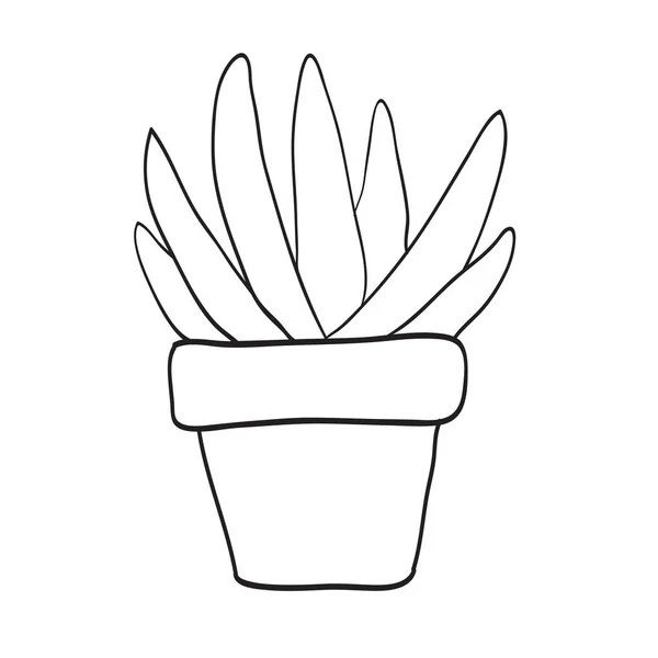 Pequena Fábrica Suculentas Pote Cacto Ilustração Desenhada Mão Planta Potenciômetro — Fotografia de Stock