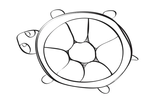 hand drawn cute turtle illustration.  Black and white illustration for coloring book.