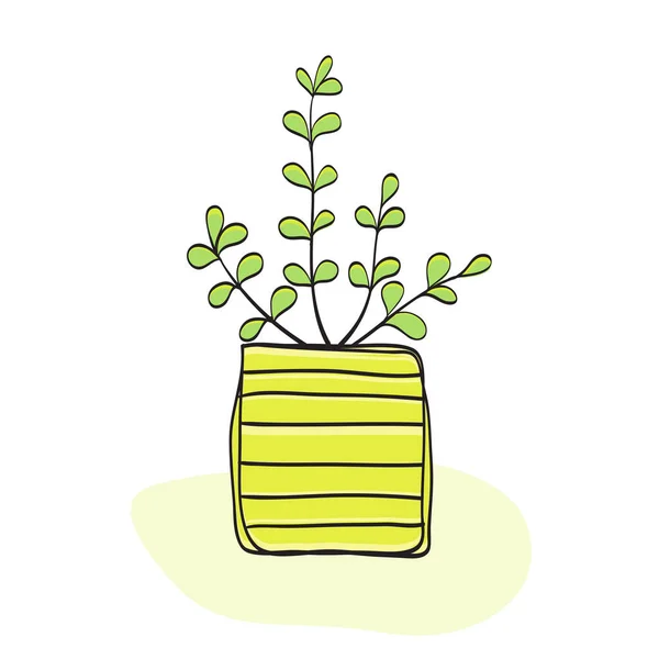 Roztomilý Rostlinný Vektor Malá Rostlina Trávě Sukulenty Nebo Kaktus Ručně — Stock fotografie