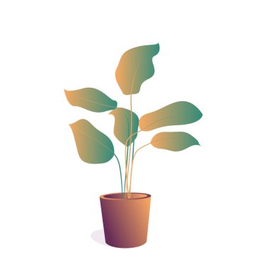 Kapalı alanda kullanılmak üzere saksıya konmuş bitkiler ve beyaz arka planda dekorasyon. Esrar üzerine gradyan renkte illüstrasyon bitkisi.