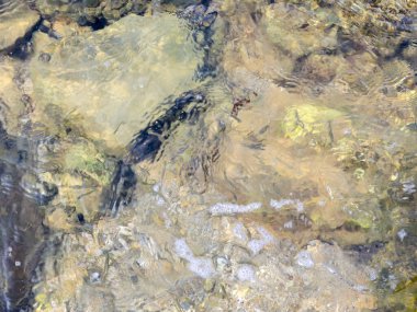 NET kristal sığ mavi deniz su ve deniz dibinin arka plan