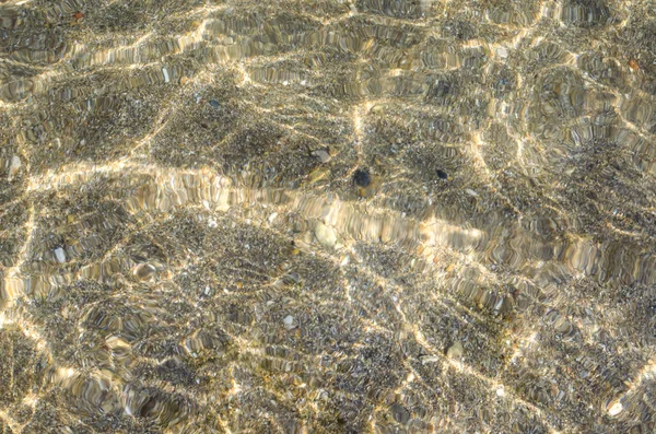 abstract seabed background. rocky beach on a clear summer day