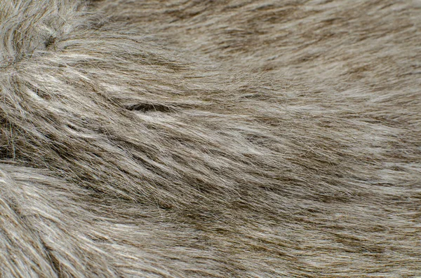 Close Gray Black Brown Luxury Animal Fur Stock Photo — Stock Photo, Image