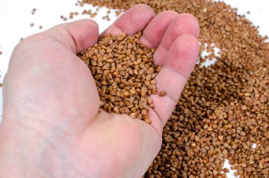 Sağlıklı kurutulmuş karabuğday taneleri izole edilmiş beyaz arka plan