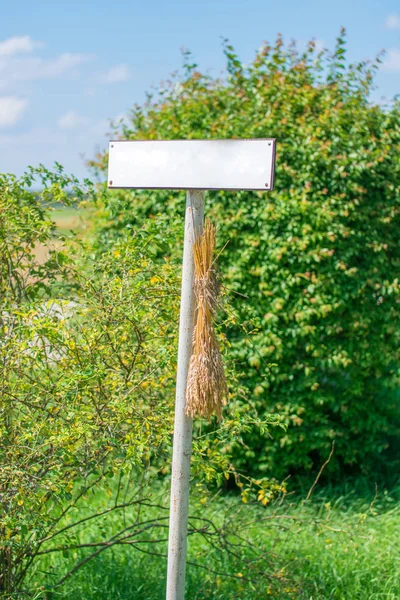 Postagem Sinal Branco Vazia Sem Texto Fundo Rural Verde Com — Fotografia de Stock