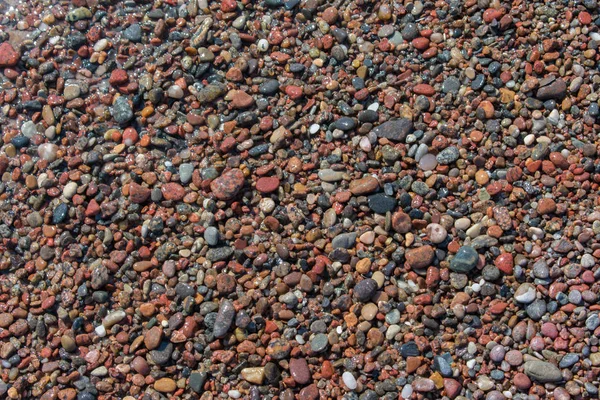 カラフルなウェットビーチ小石の背景 — ストック写真