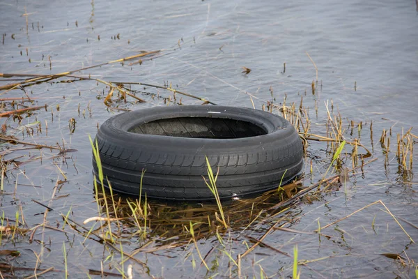 旧的黑色橡胶轮胎在水中被丢弃 — 图库照片