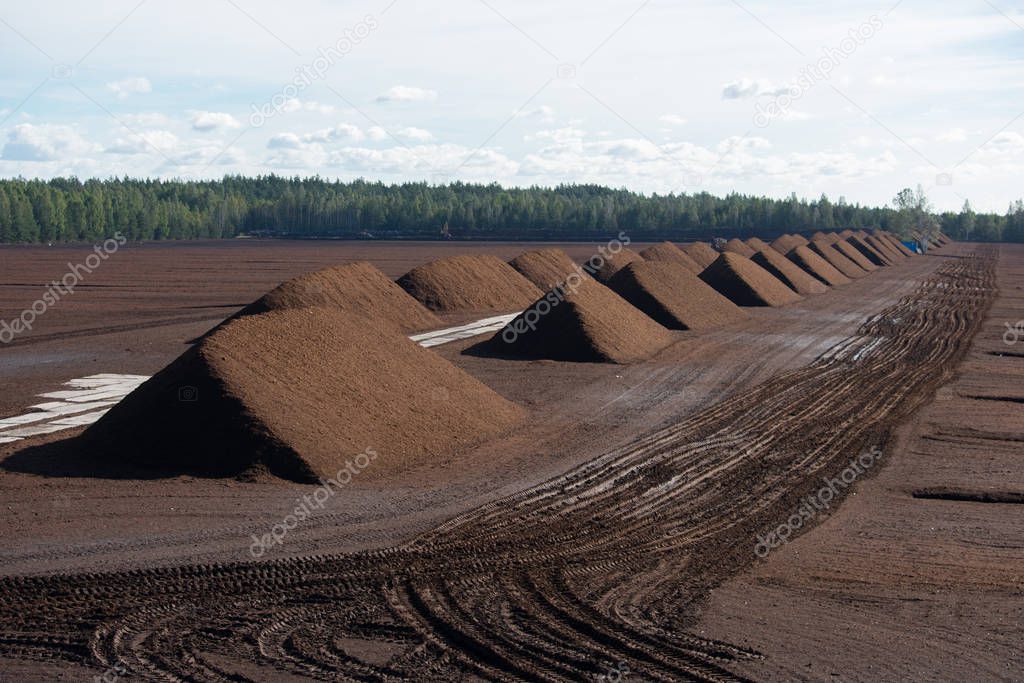 Peat harvesting. Field with piles of harvested peat.