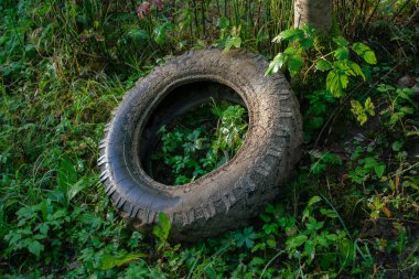Yeşil ormanda terk edilmiş eski kirli lastik..