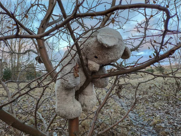 被遗弃的灰色玩具玩具 低着头挂在树上 — 图库照片