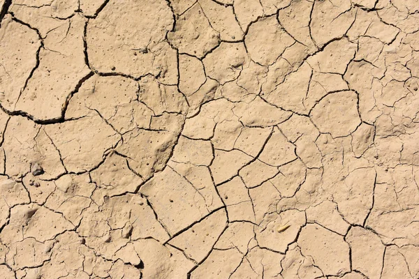 Dry mud brown ground desert texture