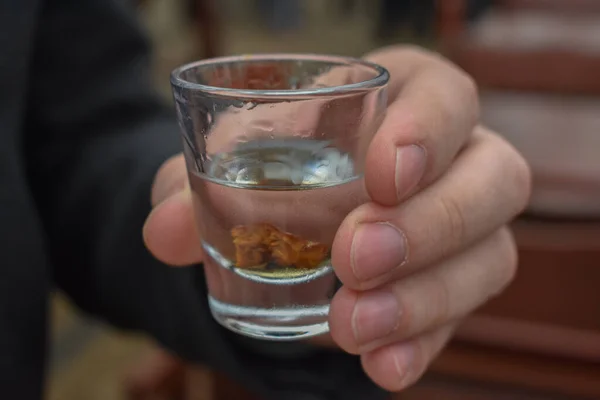 Closeup Male Hand Holding Vodka Glass Vodka Plum — Stock Photo, Image