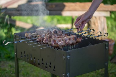 Izgara leziz domuz şiş şiş dışarıda.