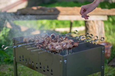 Izgara leziz domuz şiş şiş dışarıda.