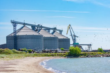 Uçan kuşlar ve deniz kıyısında büyük tahıl asansör siloları (Liepaja Limanı, Letonya)