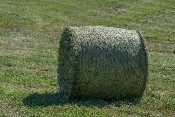 Groen Hooi Baal Roll Een Gemaaide Weide — Stockfoto