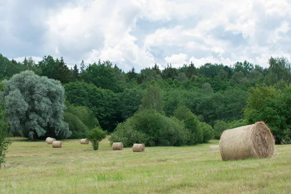 Foin Roule Dans Une Prairie Fauchée Sur Colline — Photo