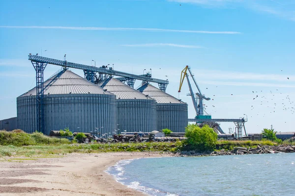 Uçan kuşlar ve deniz kıyısında büyük tahıl asansör siloları (Liepaja Limanı, Letonya)