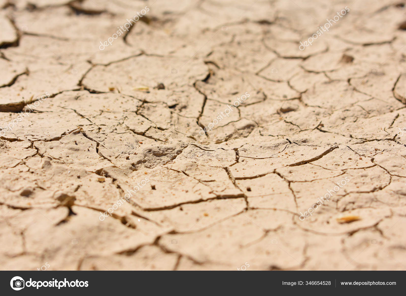 Dry Mud Brown Ground Desert Texture Stock Photo Image By C Skaldis Dry Mud Brown Ground Desert Texture Stock Photo Image By C Skaldis