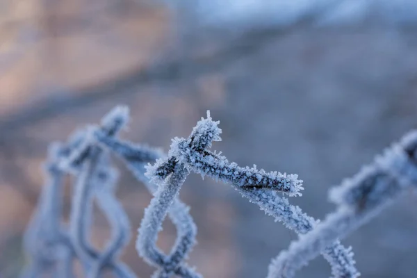 Recinzione Metallo Ghiacciato Con Cristalli Ghiaccio — Foto Stock