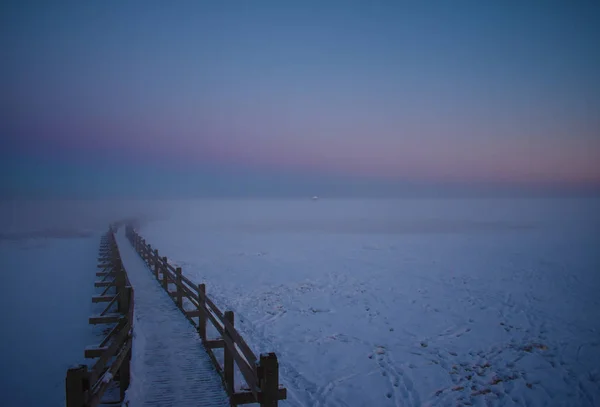 Brouillard Coloré Hiver Coucher Soleil Ciel Paysage — Photo