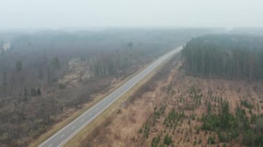 Karayolu üzerinde uçuşun hava görüntüsü sisli trafik, orman manzarası.