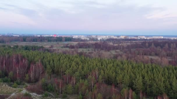 Flygfoto av drönare som sakta flyger mot staden Liepaja över gröna träd — Stockvideo