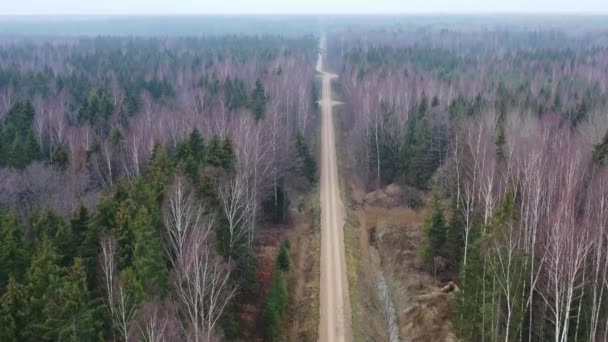 Letecké záběry z bezpilotních letounů letící nad vrcholky stromů po štěrkové cestě lesem — Stock video