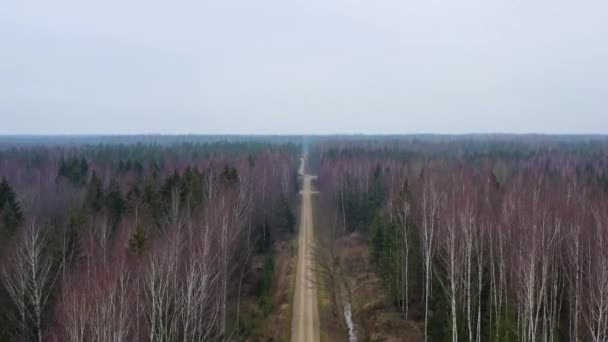 공중 드론으로 숲을 관통하는 자갈 길을 따라 나무 꼭대기를 비행하는 장면 — 비디오