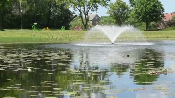 Пейзаж брызг воды из пруда. Зеленая летняя природа . — стоковое видео