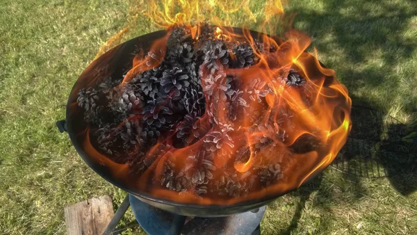 Barbekü ızgarasında yanan kozalaklar. Turuncu alevler